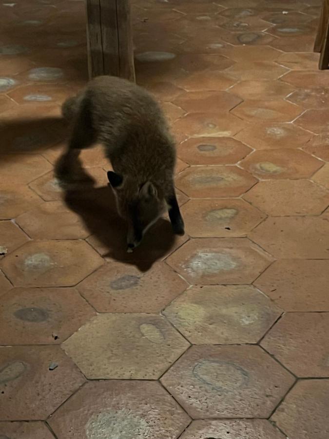 Il Frutteto Di Efesto Villa Biancavilla Luaran gambar